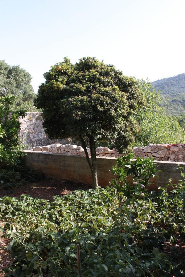 Apartments With A Parking Space Sali, Dugi Otok - 8136 Luaran gambar